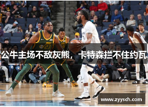 公牛主场不敌灰熊，卡特森拦不住约瓦