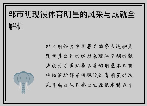 邹市明现役体育明星的风采与成就全解析